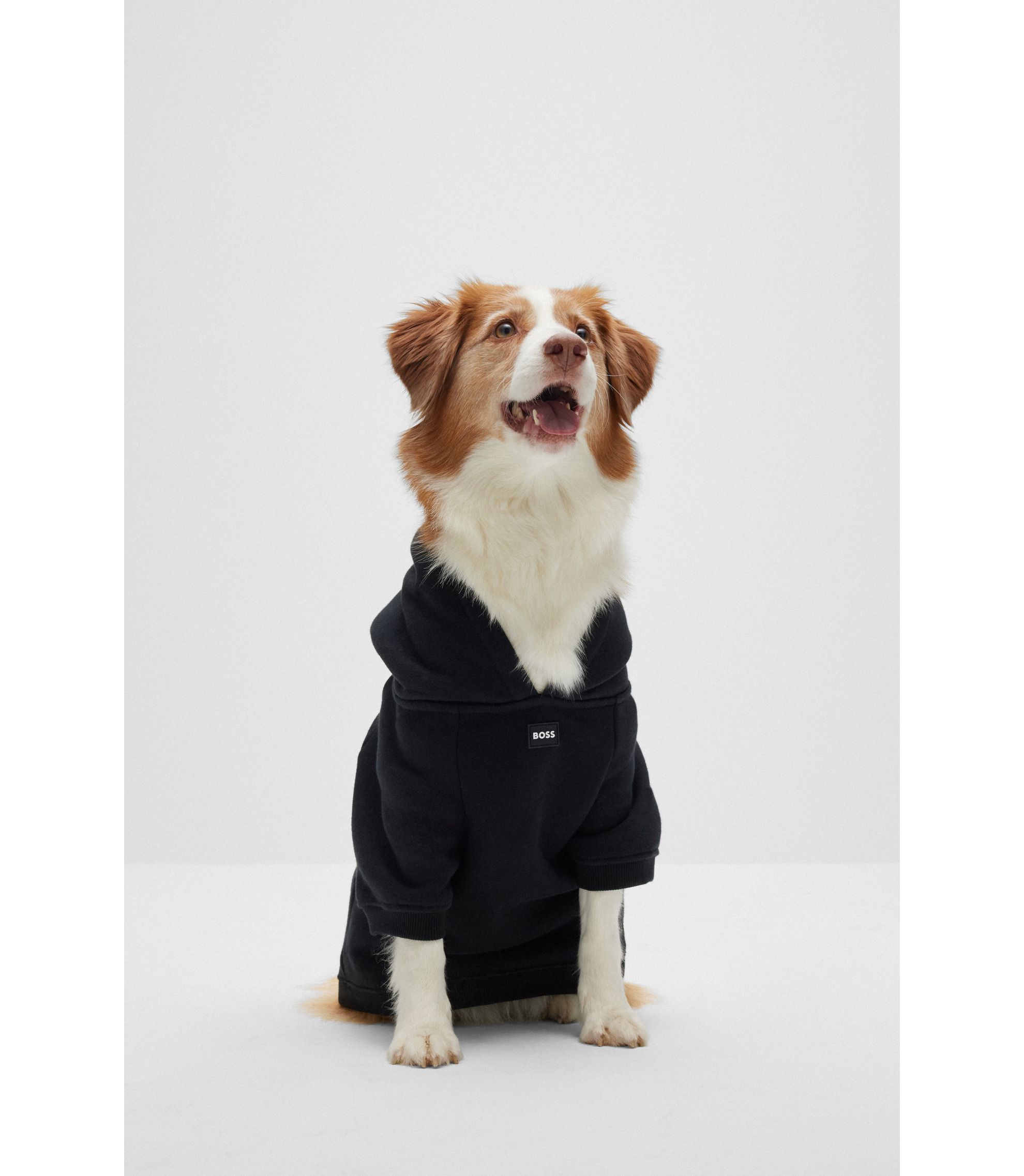 it-dogs BEEトップスXS Photoroom_20250325_161811.jpg?