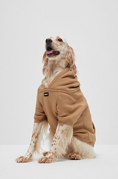 Sweat à capuche pour chien en coton mélangé avec logo contrastant, Beige
