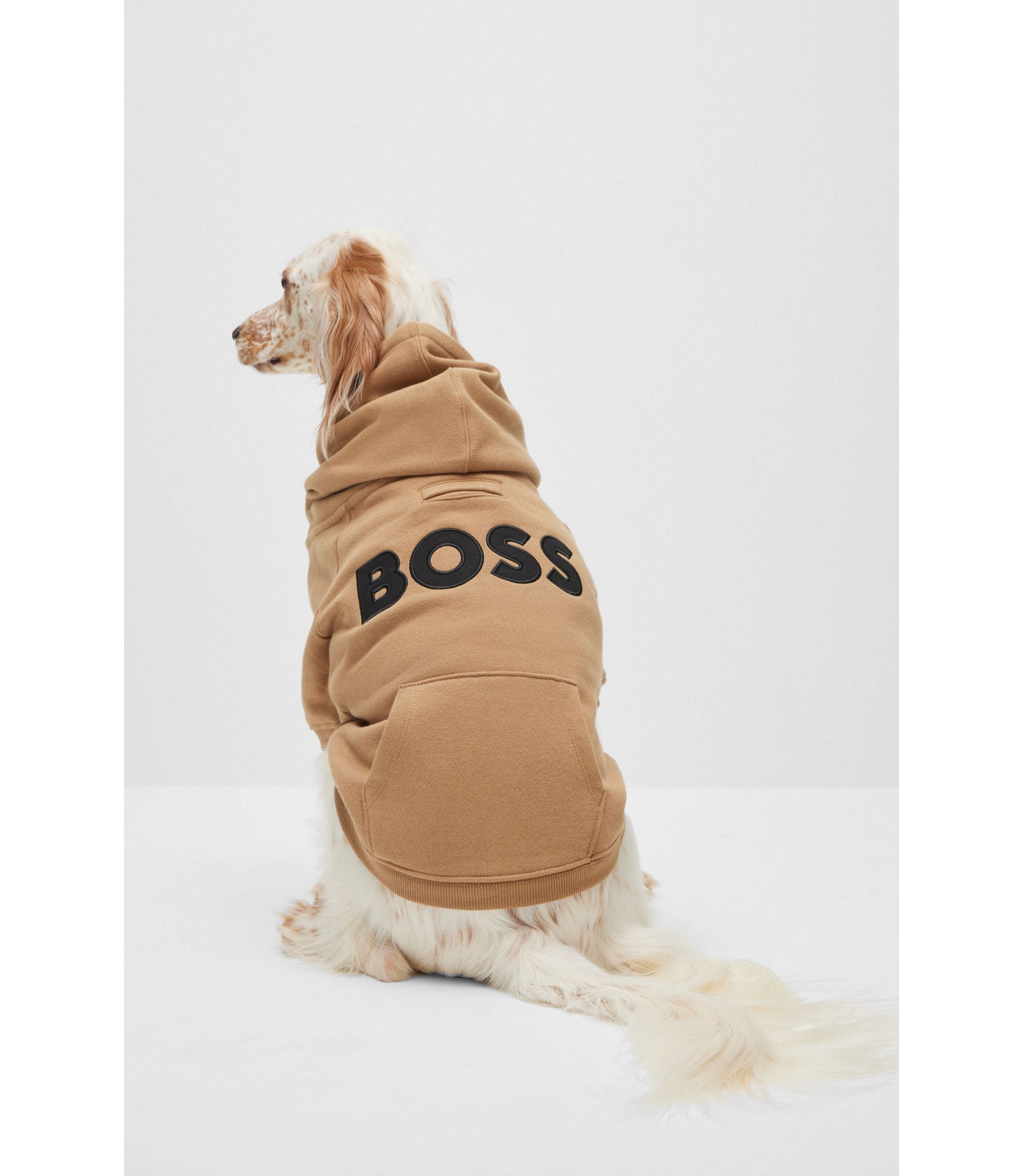 BOSS - ドッグ フーディ コットンブレンド コントラストロゴ - ベージュ