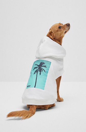 Sweat à capuche de plage pour chien en coton à imprimé palmier, Blanc