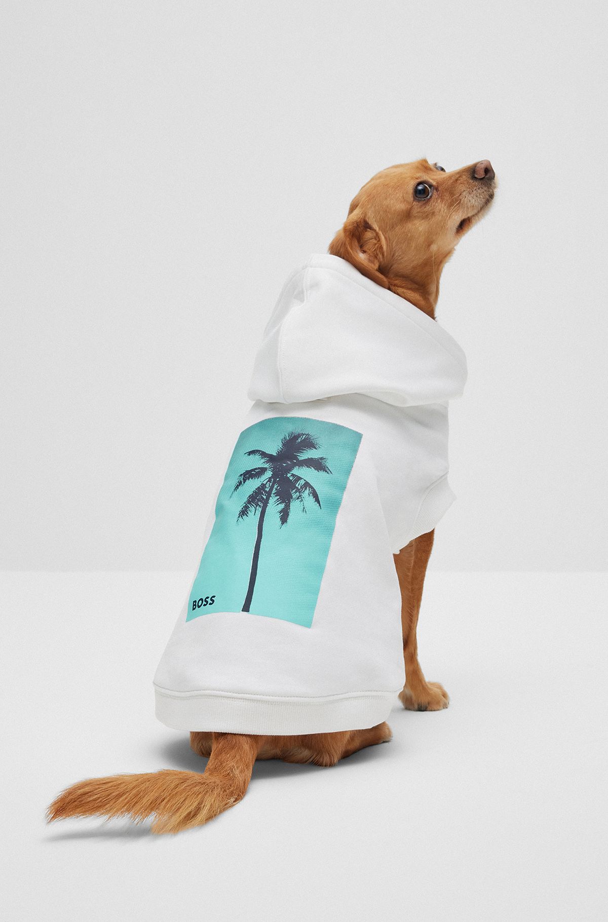 Strandhoodie voor honden van katoen met palmboomprint, Wit