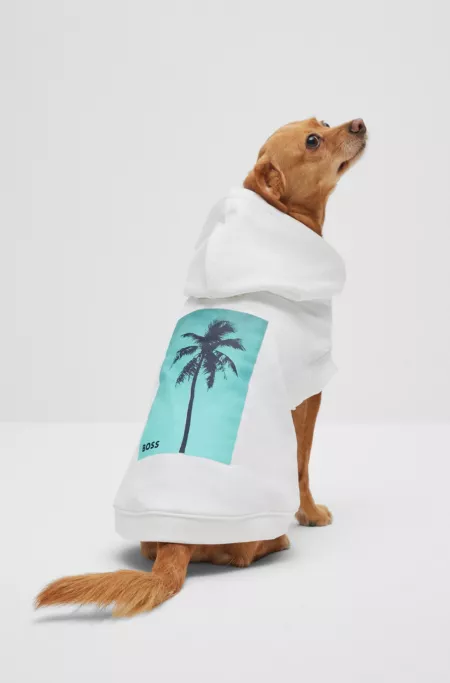 Sweat à capuche de plage pour chien en coton à imprimé palmier