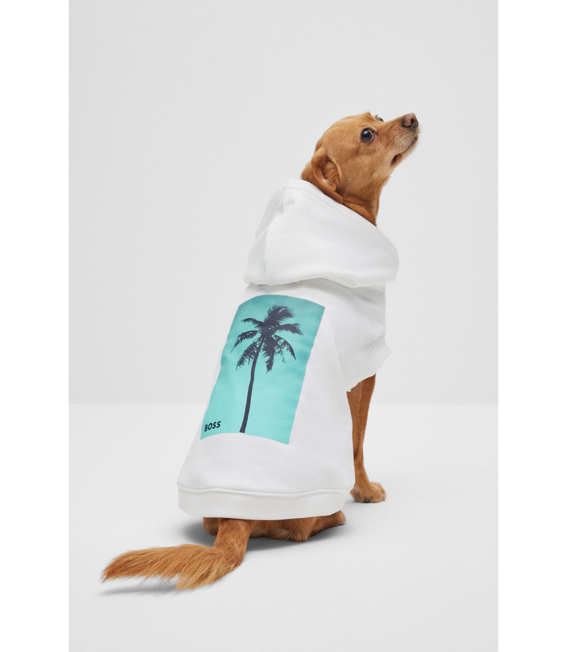 Hunde-Hoodie aus Baumwolle mit Palmen-Print