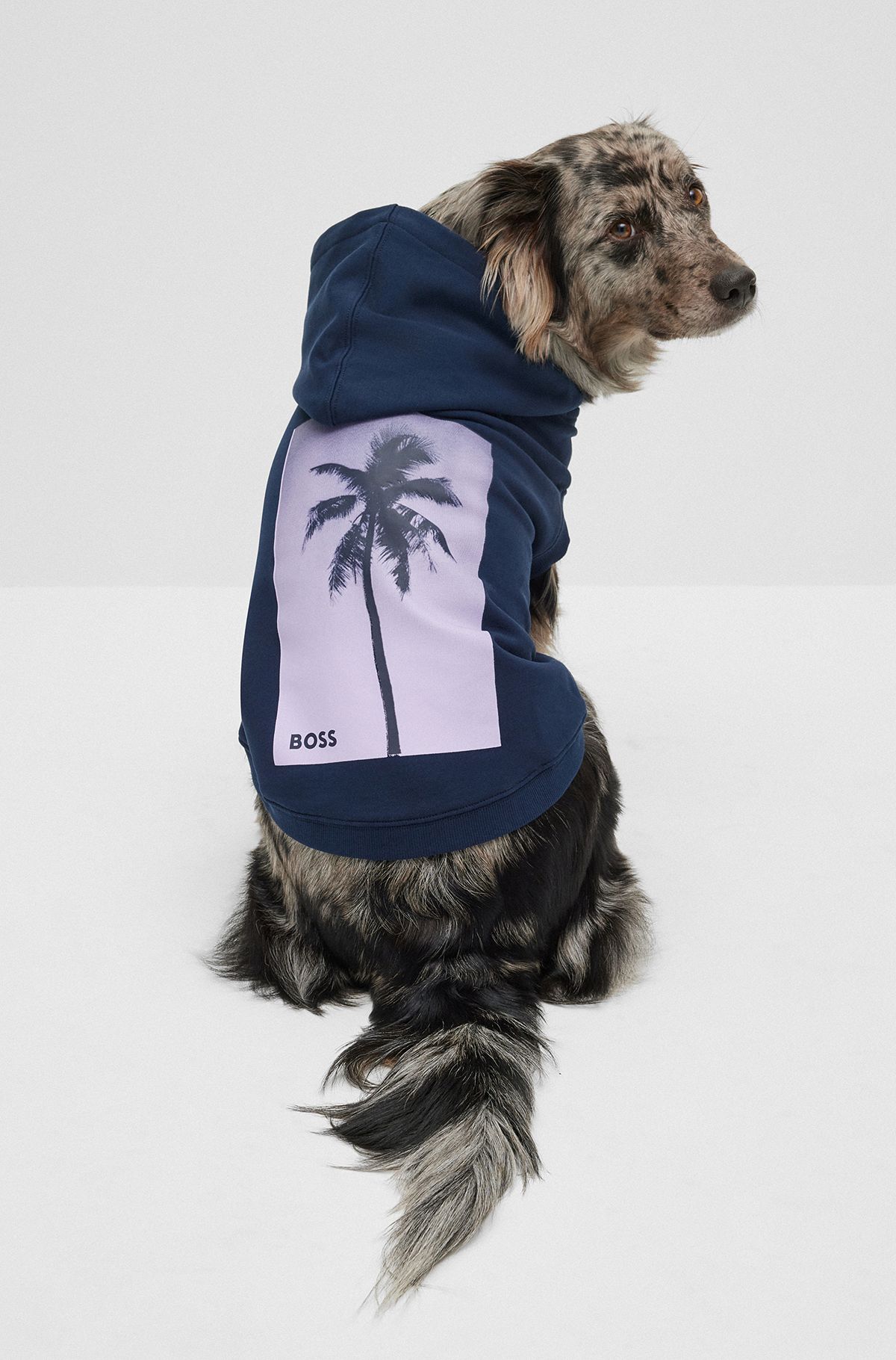 Hunde-Hoodie aus Baumwolle mit Palmen-Print, Dunkelblau