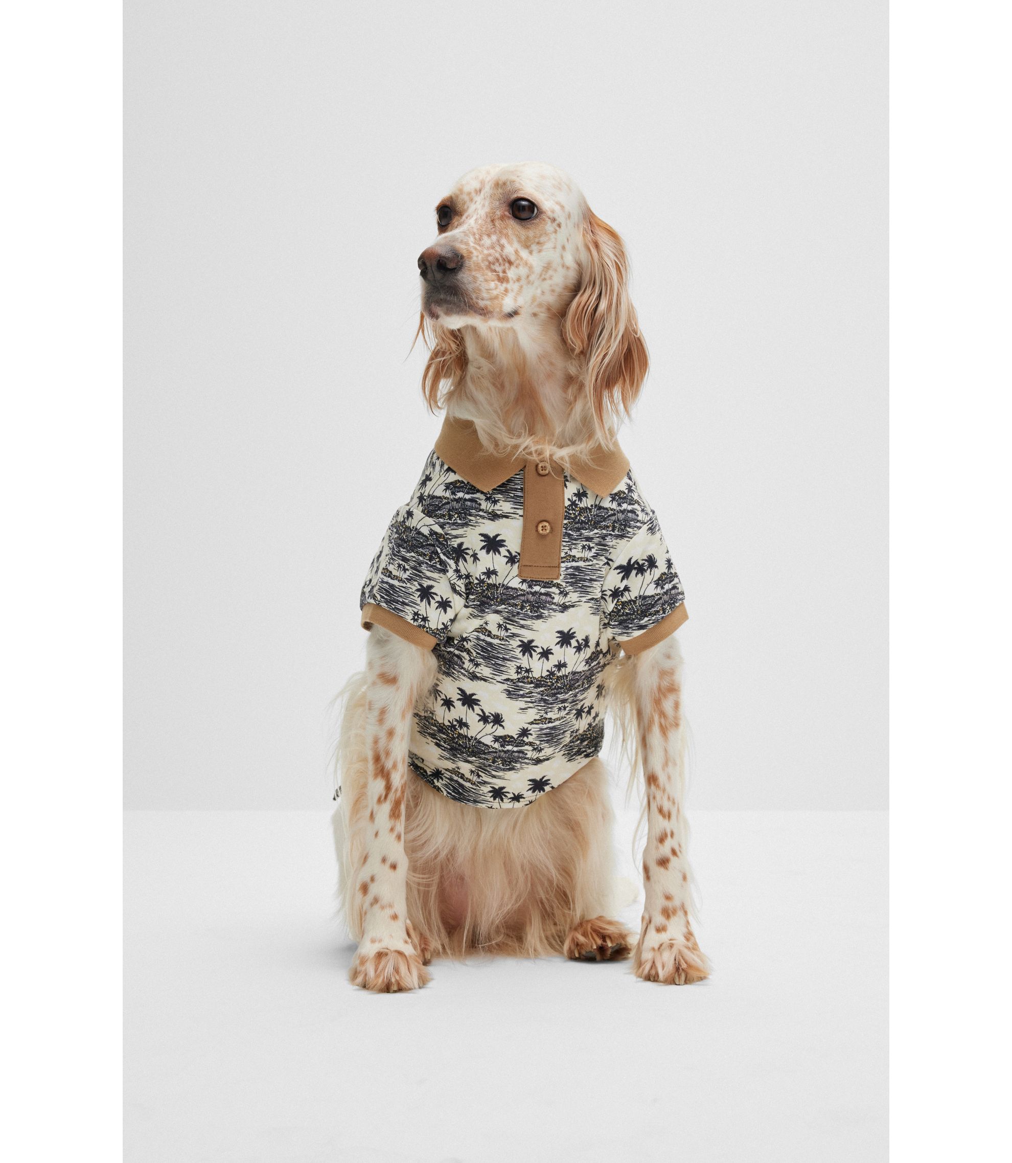 Hunde-Poloshirt aus Baumwolle mit Palmen-Print