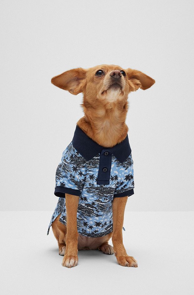 Dog polo shirt in cotton with palm-tree print, Light Blue