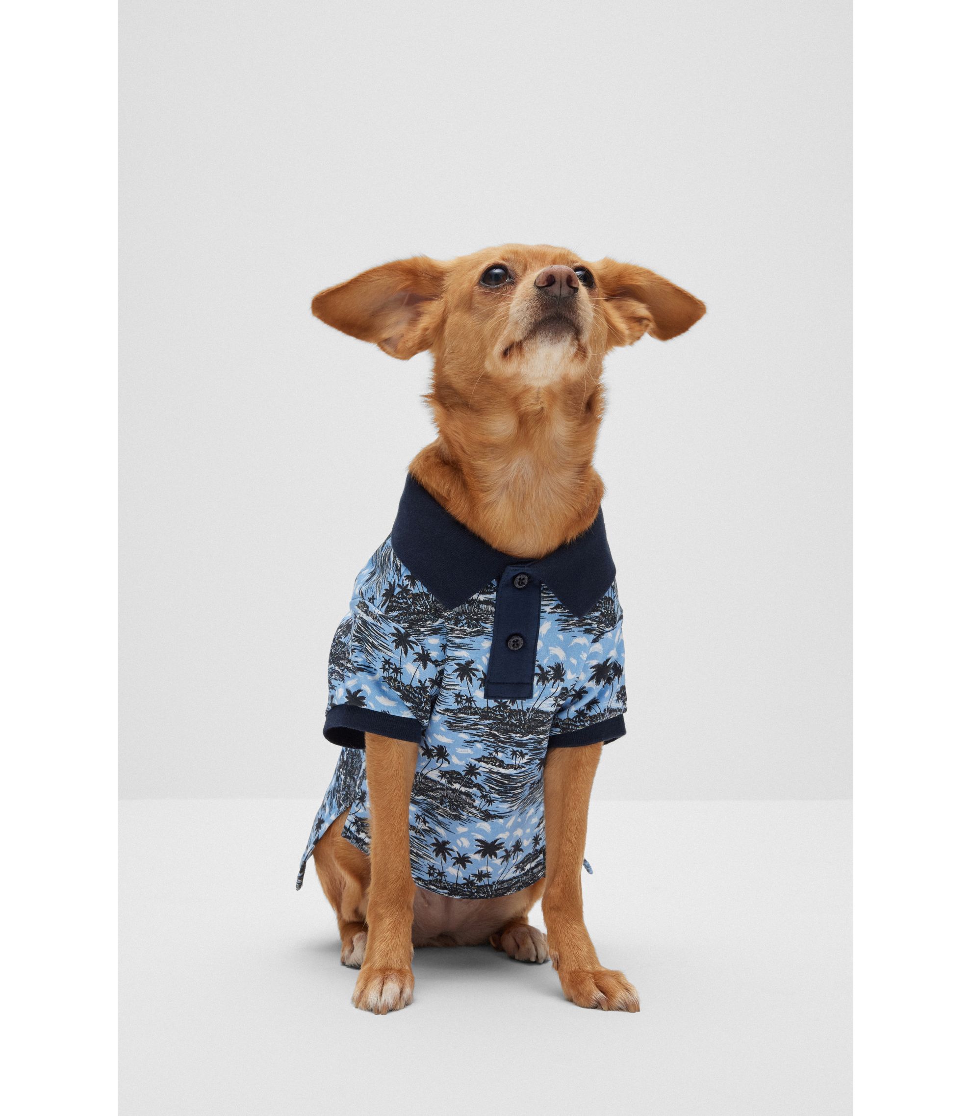 Hunde-Poloshirt aus Baumwolle mit Palmen-Print