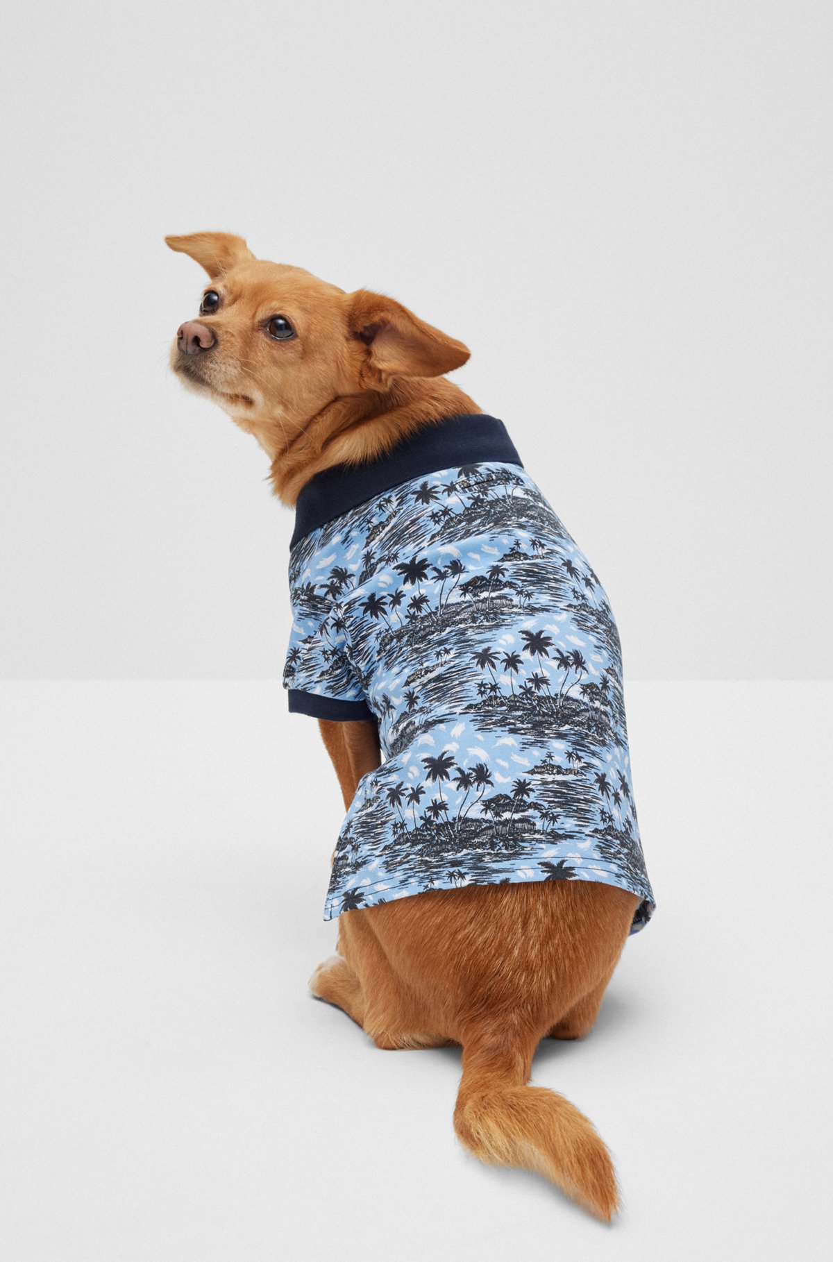 Katoenen polo voor honden met palmboomprint, Lichtblauw