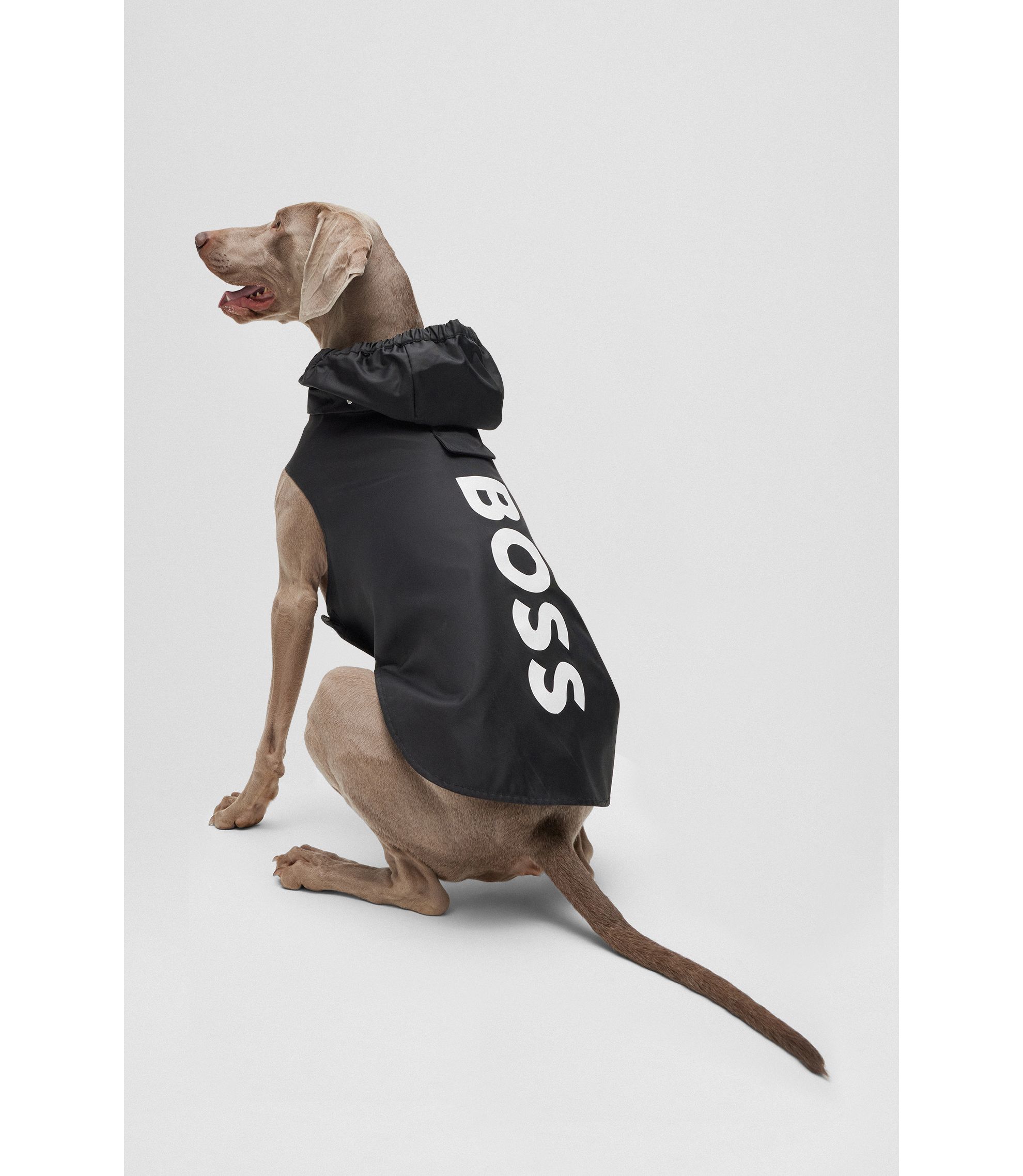 Hugo Boss Hunde-Regenmantel aus wasserdichtem Gewebe mit Kontrast-Logo