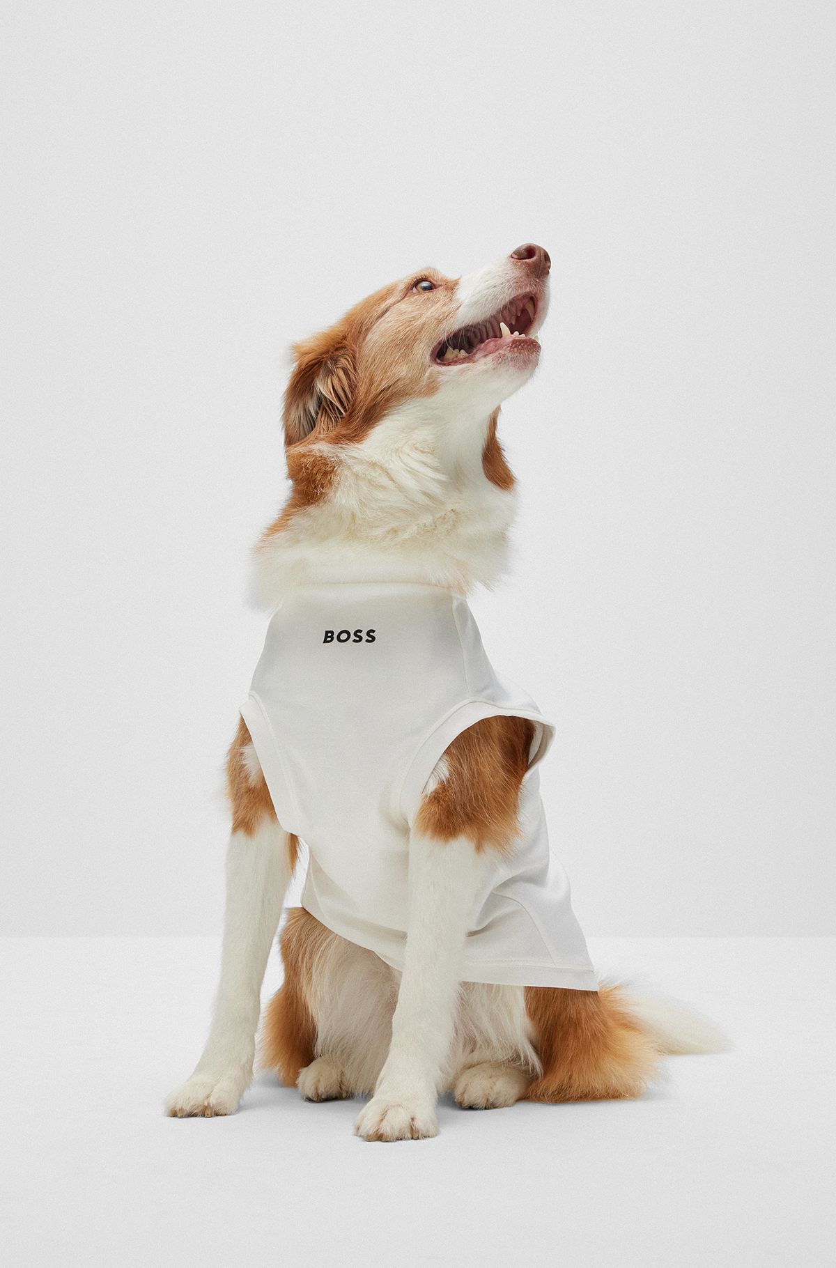 Camiseta para perro en algodón mercerizado con logo en contraste, Blanco