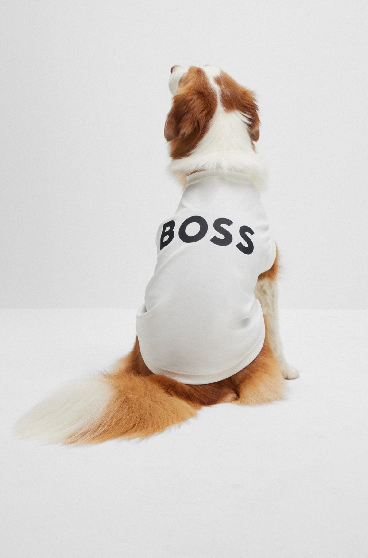 Honden T-shirt van gemerceriseerde katoen met contrasterend logo, Wit