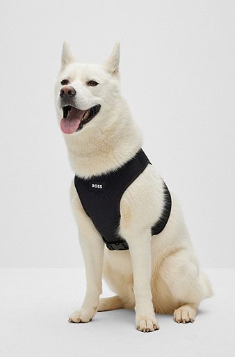 Adjustable dog harness with signature stripe, Black