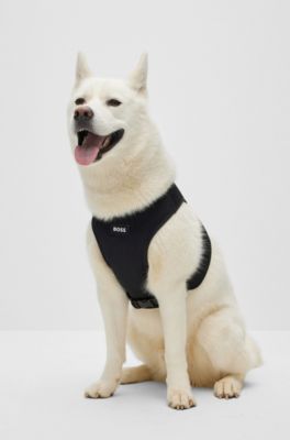 Adjustable dog harness with signature stripe, Black