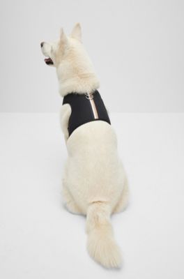 Adjustable dog harness with signature stripe, Black