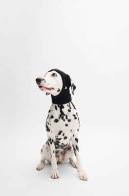 Knitted dog hat with Double B monogram, Black