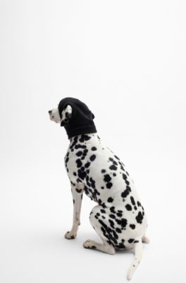 Knitted dog hat with Double B monogram, Black