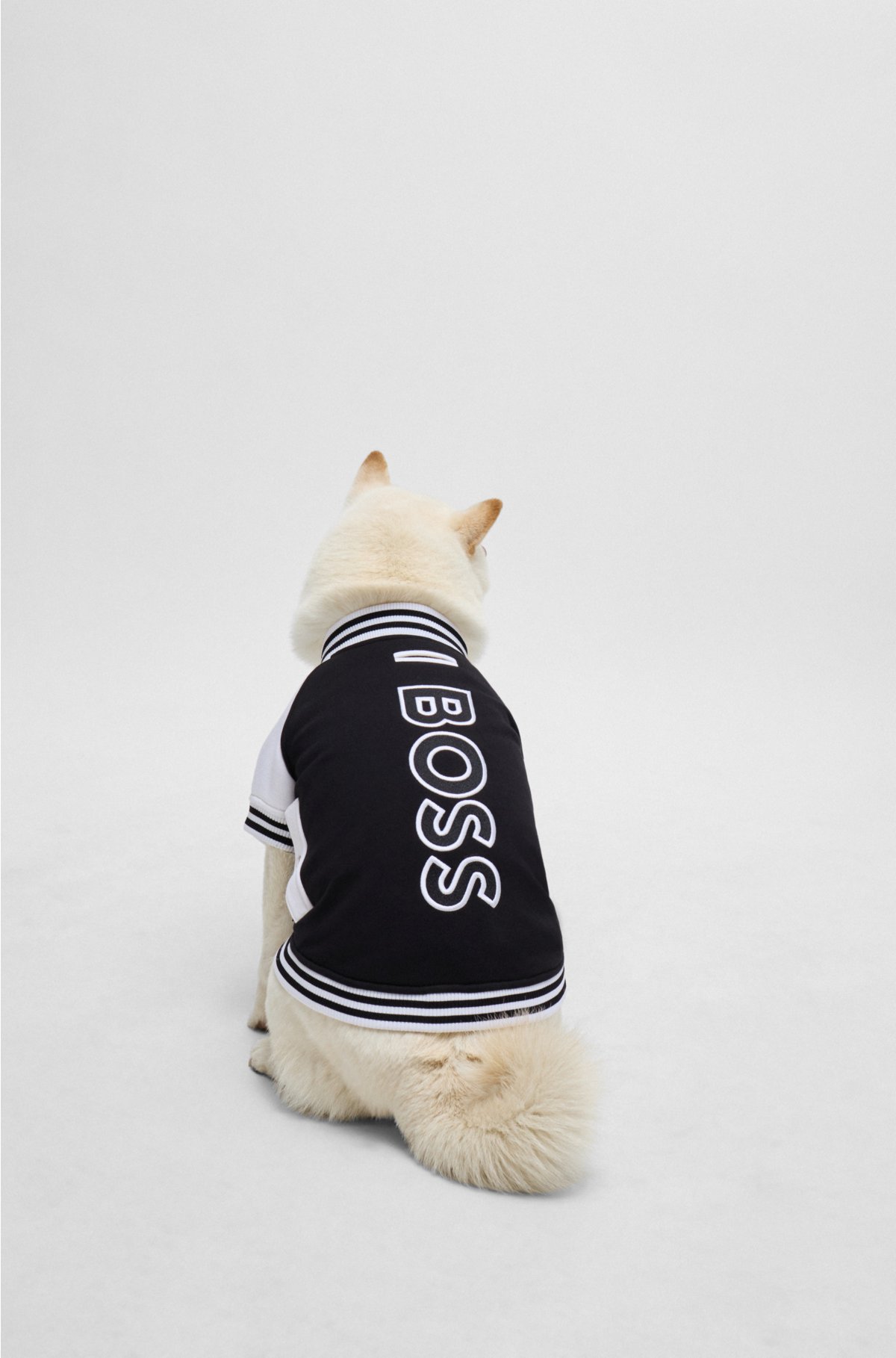 Dog bomber jacket with embroidered logo, Black