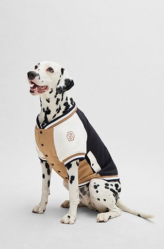 Dog bomber jacket with embroidered logo, Beige