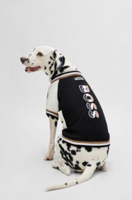 Dog bomber jacket with embroidered logo, Beige