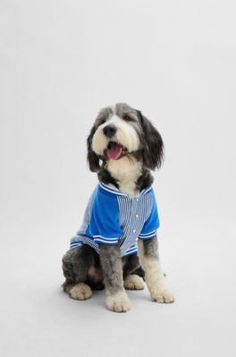 Dog bomber jacket with embroidered logo, Blue