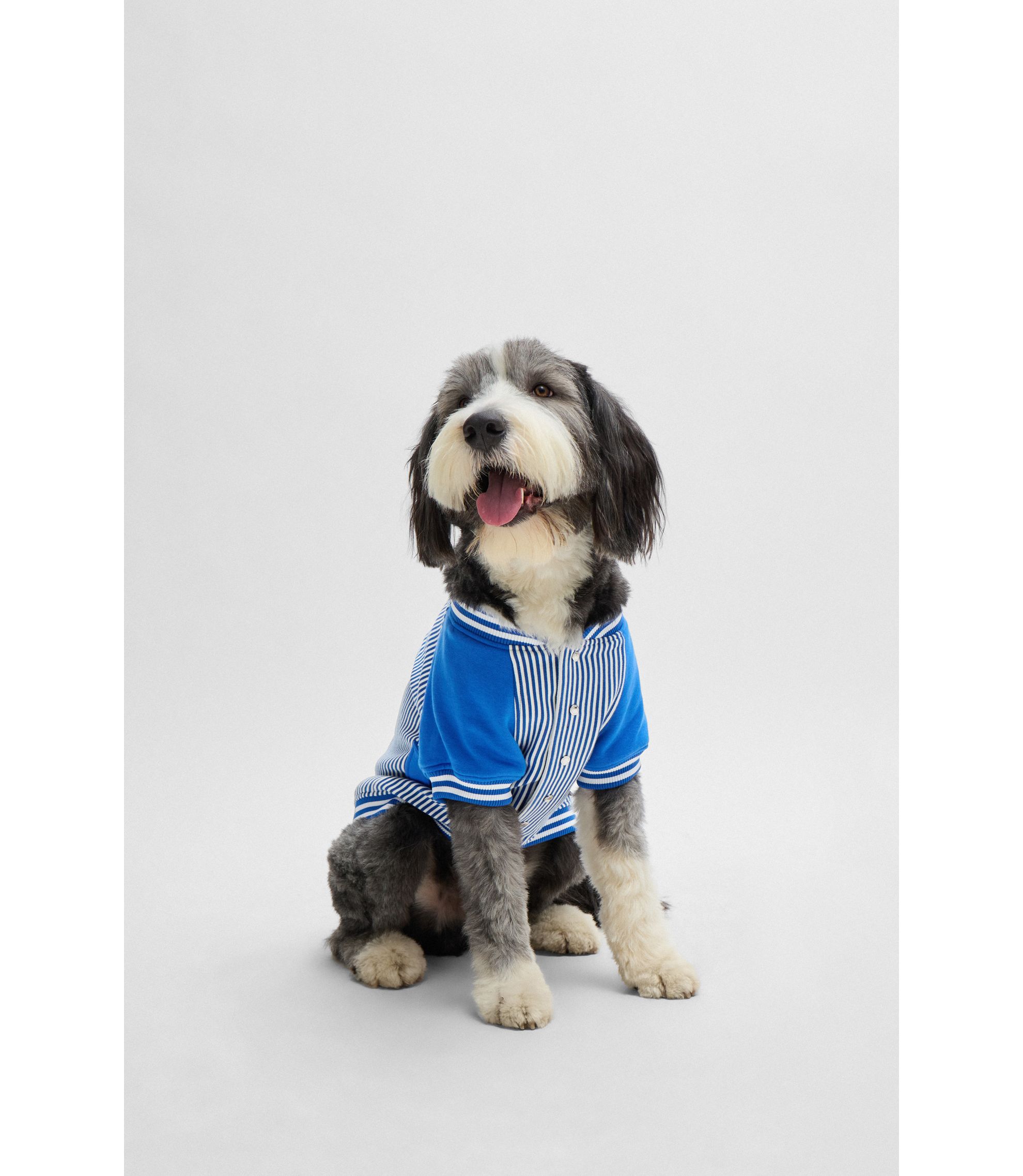 Hunde-Bomberjacke mit Logo-Stickerei