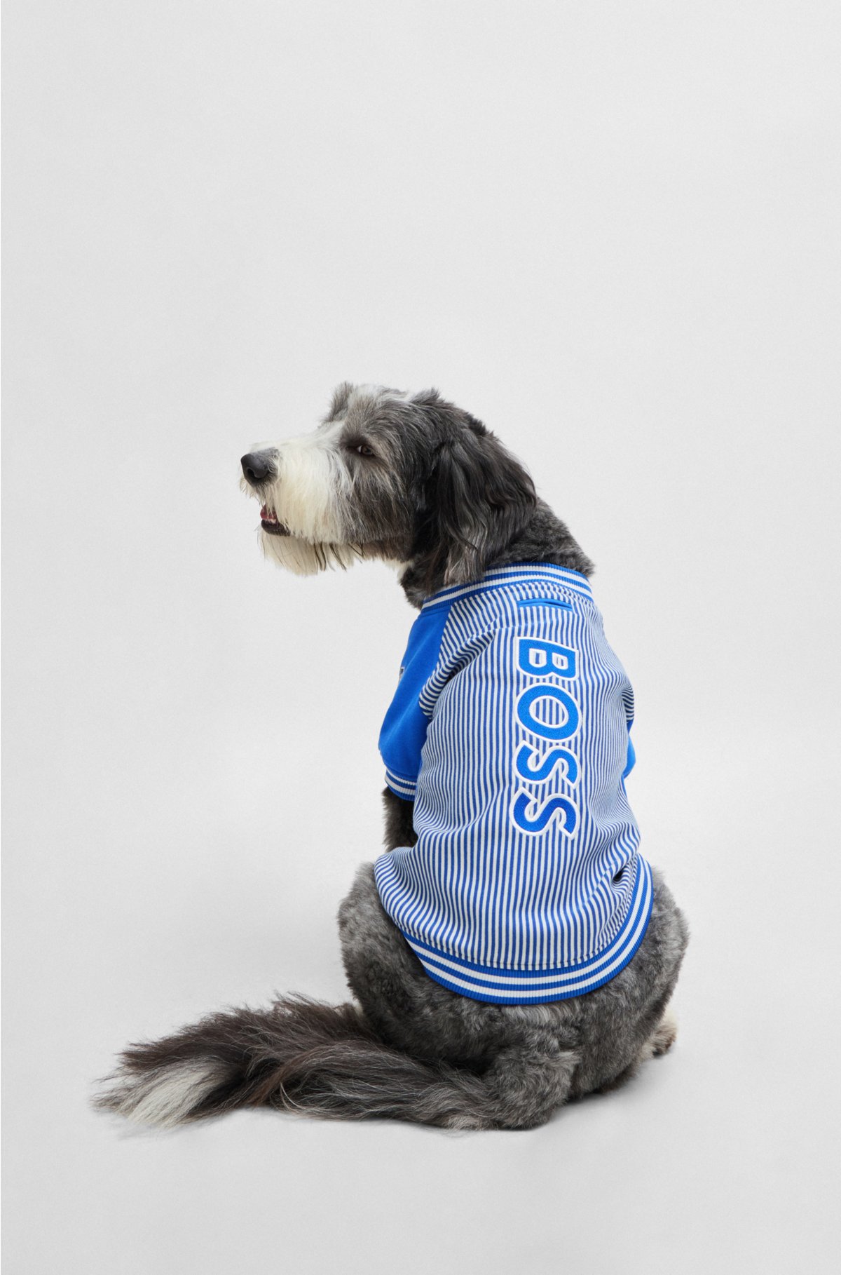 Dog bomber jacket with embroidered logo, Blue