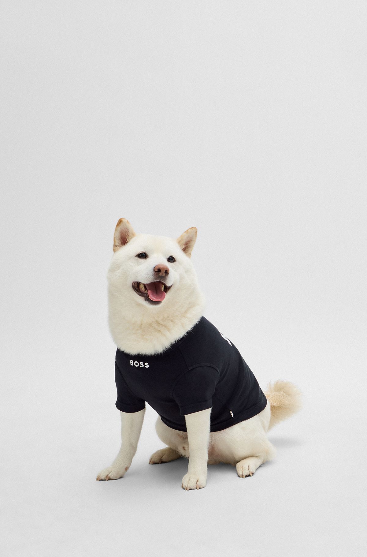 Dog T-shirt in cotton with logo print, Black