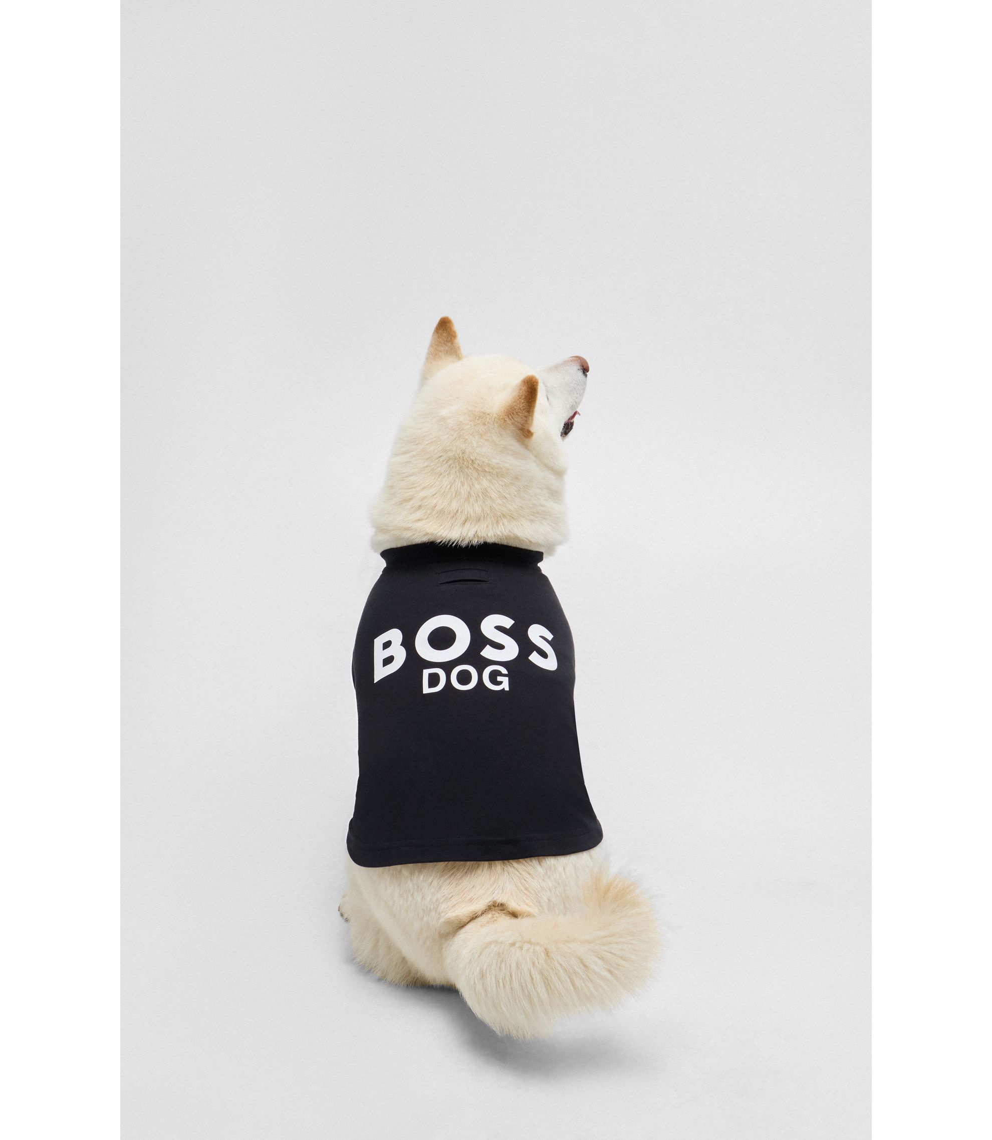 hbeuB4SDAT002_001_310?wid=1980