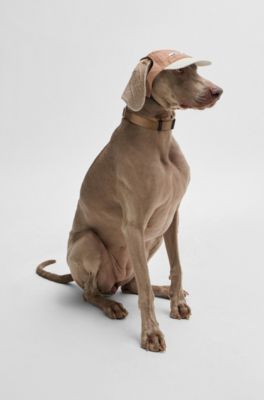 Dog hat with signature details and adjustable band, Beige