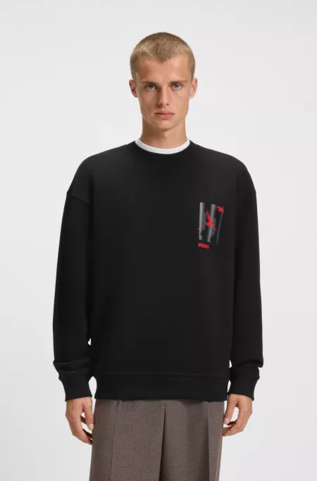 Bird-artwork sweatshirt in cotton terry