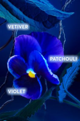 BOSS Bottled Triumph Elixir eau de parfum 100ml, Assorted-Pre-Pack