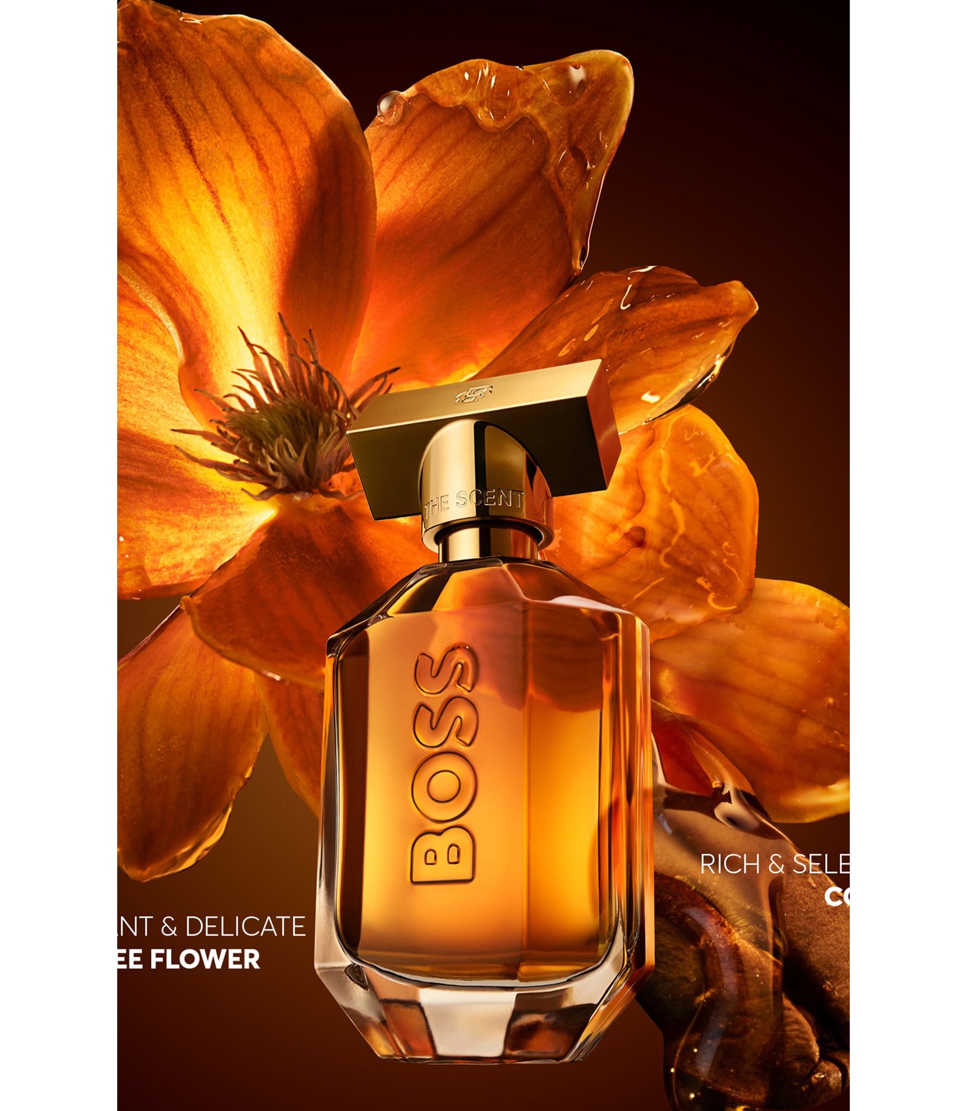 BOSS - BOSS The Scent Eau de Parfum Intense 50 ml – 1.69 oz