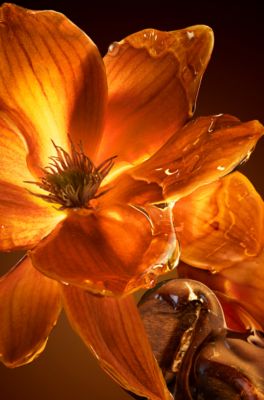 BOSS The Scent Eau de Parfum Intense 50 ml &ndash; 1.69 oz, Assorted-Pre-Pack