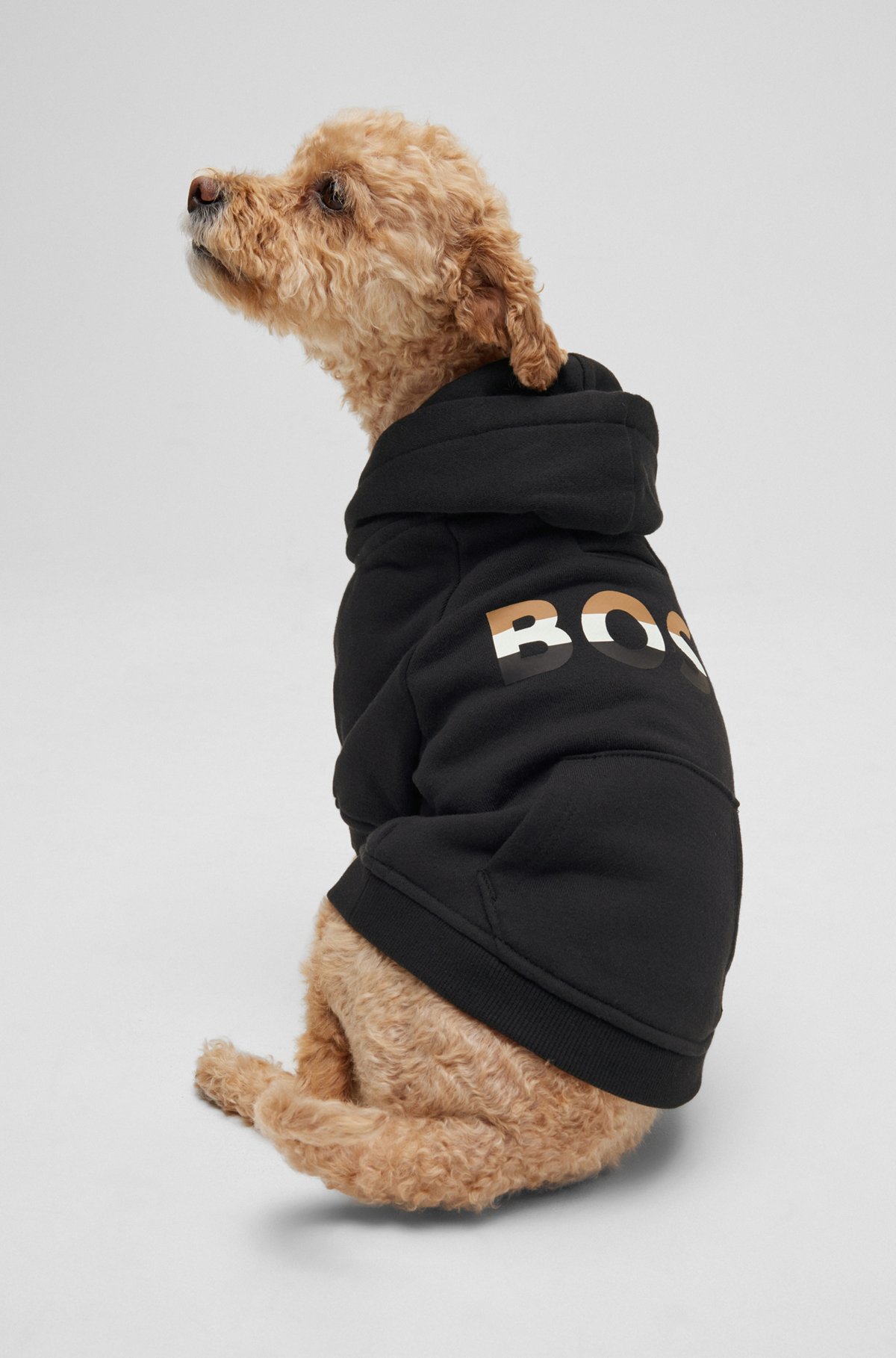 Dog hoodie with iconic stripe logo, Black