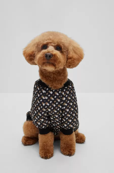 Monogrammed bomber jacket for dogs