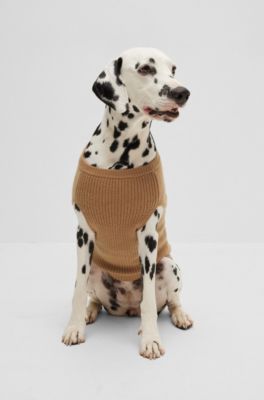 Wool and cashmere dog sweater with logo, Beige