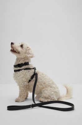 Dog lead in leather, Black