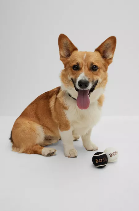 Set of two dog balls