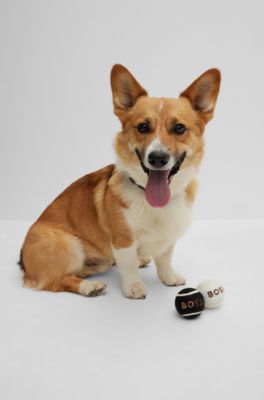 Set of two dog balls, White