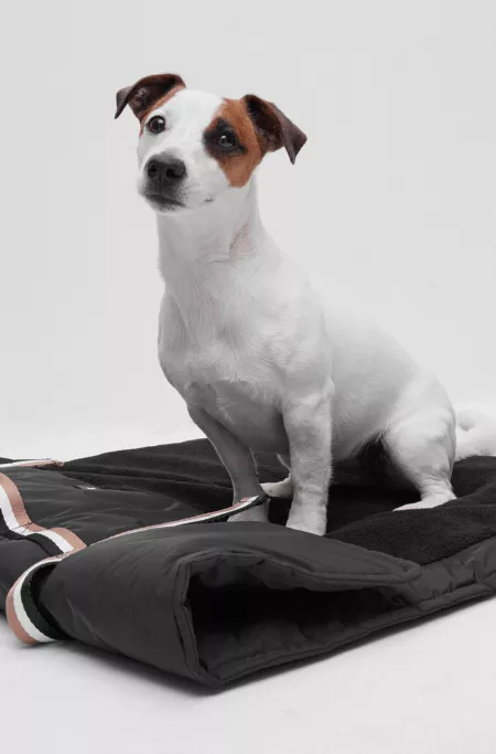 Portable dog mat with sherpa-mat lining