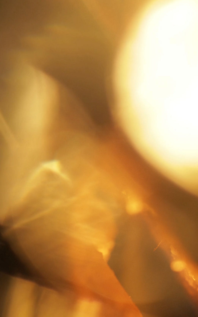 A video of the new fragrance for men from BOSS