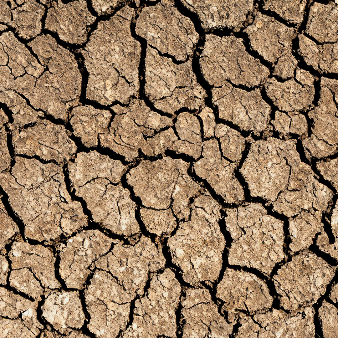 Image représentant un climat chaud