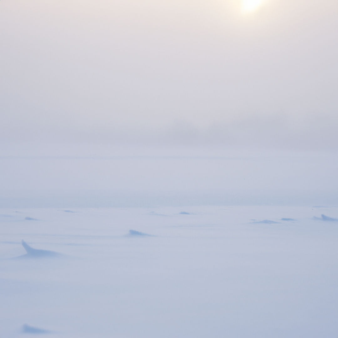 Image représentant un climat froid