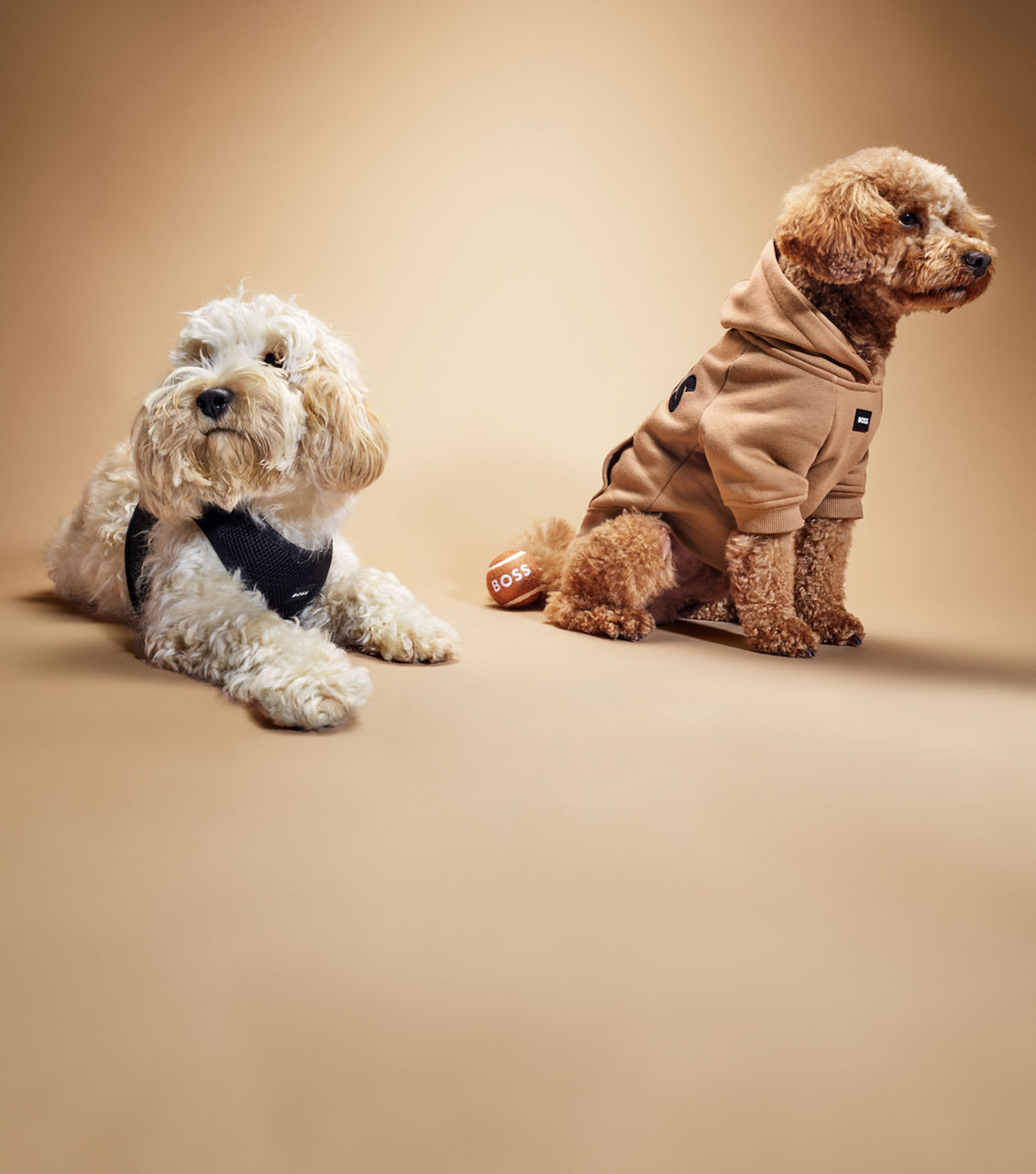 Image of  one dog wearing Dog Sweaters by BOSS 