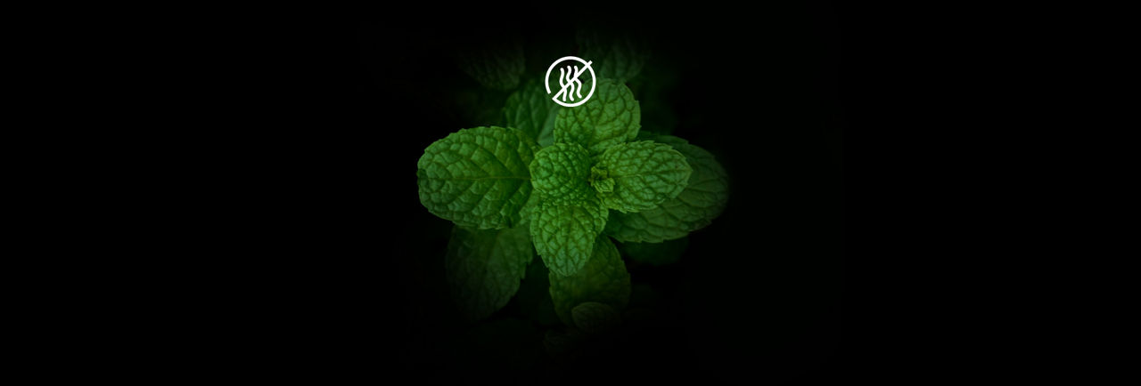 Botanical freshness feature by BOSS Wellness styles