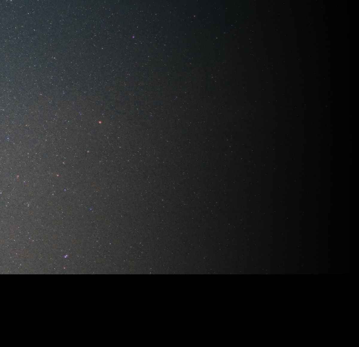 BOSS Wellmess for women