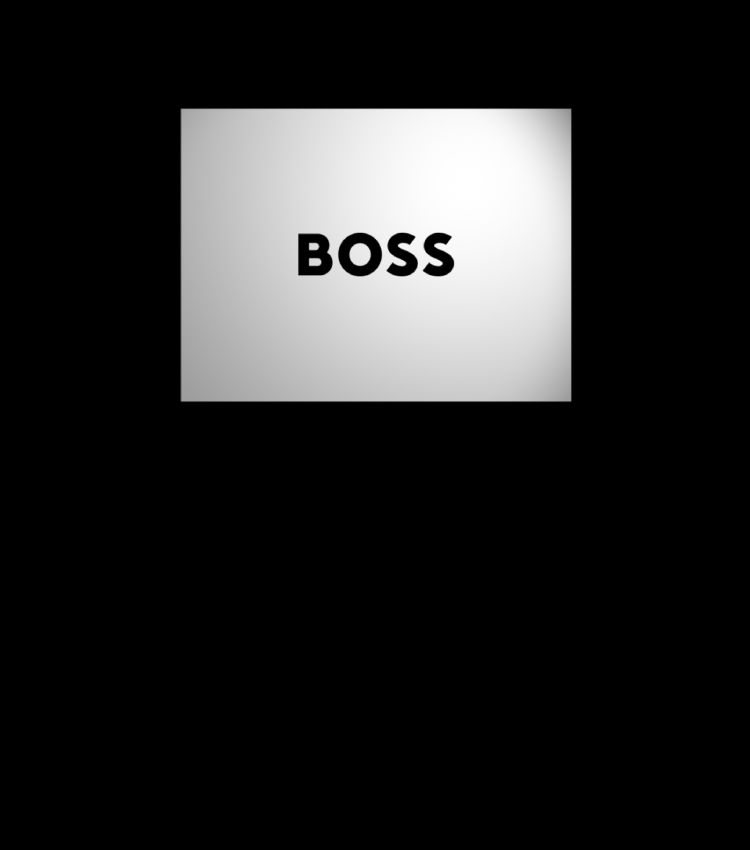 My HUGO BOSS REWARDS animation