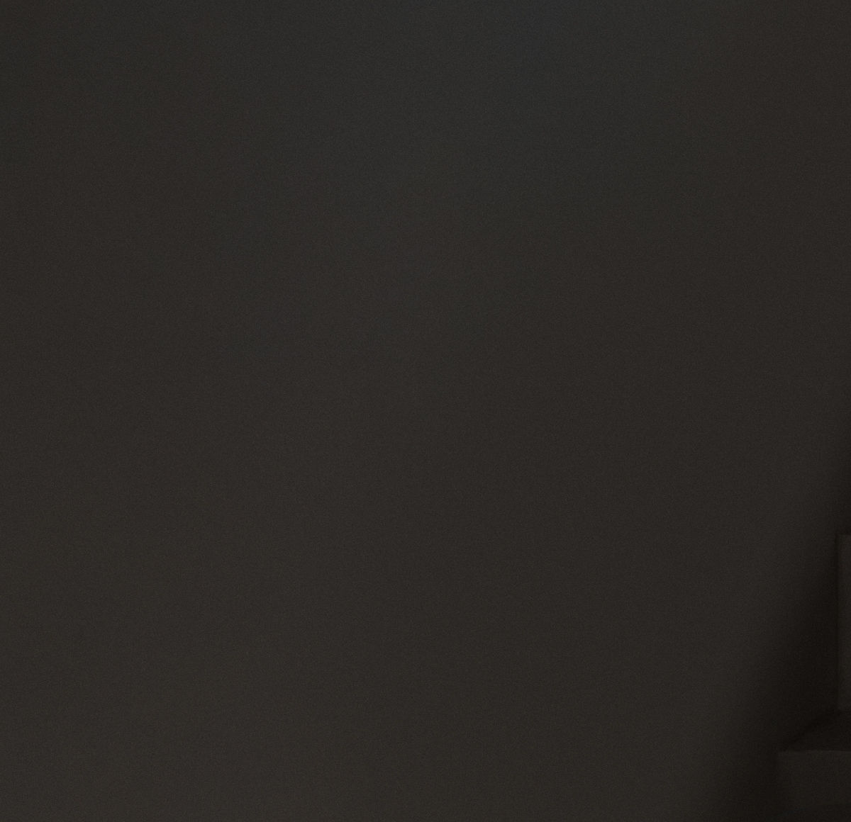 BOSS Selected by Shohei Ohtani collection