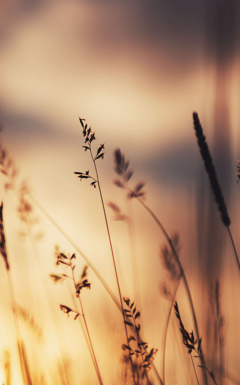 An inspirational image for a better fashion