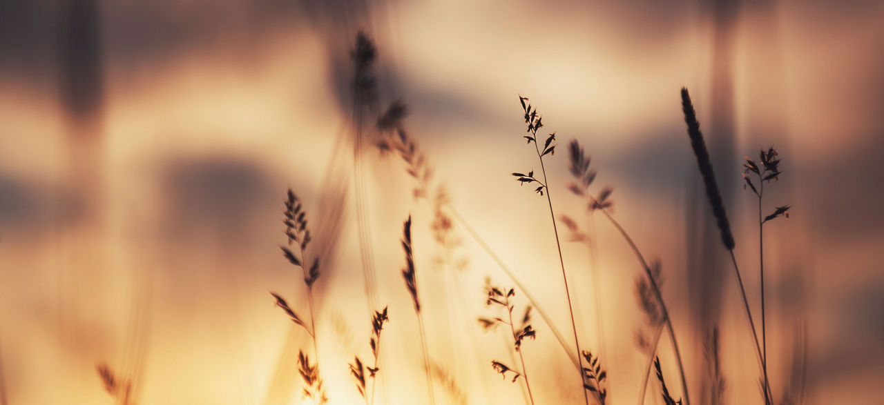 An inspirational image for a better fashion